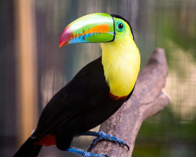 b27ebfab2b.jpg